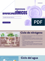 Procesos Biogeoquímicos