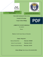 Ensayo Sobre El Análisis de Indicadores Ambientales.