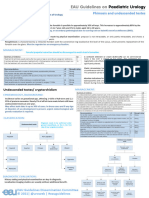 Cheat Sheet - EAUpaediatric2 Corrected Radmayr29588