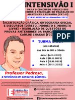 Apostila Do Intensivão I (TRT-11 + Resolução de Provas Anteriores Da Fundação Carlos Chagas) - (Curso Presencial - Novembro de 2023 - Sábado) - Professor Pedrosa