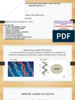 Acido Nucleico