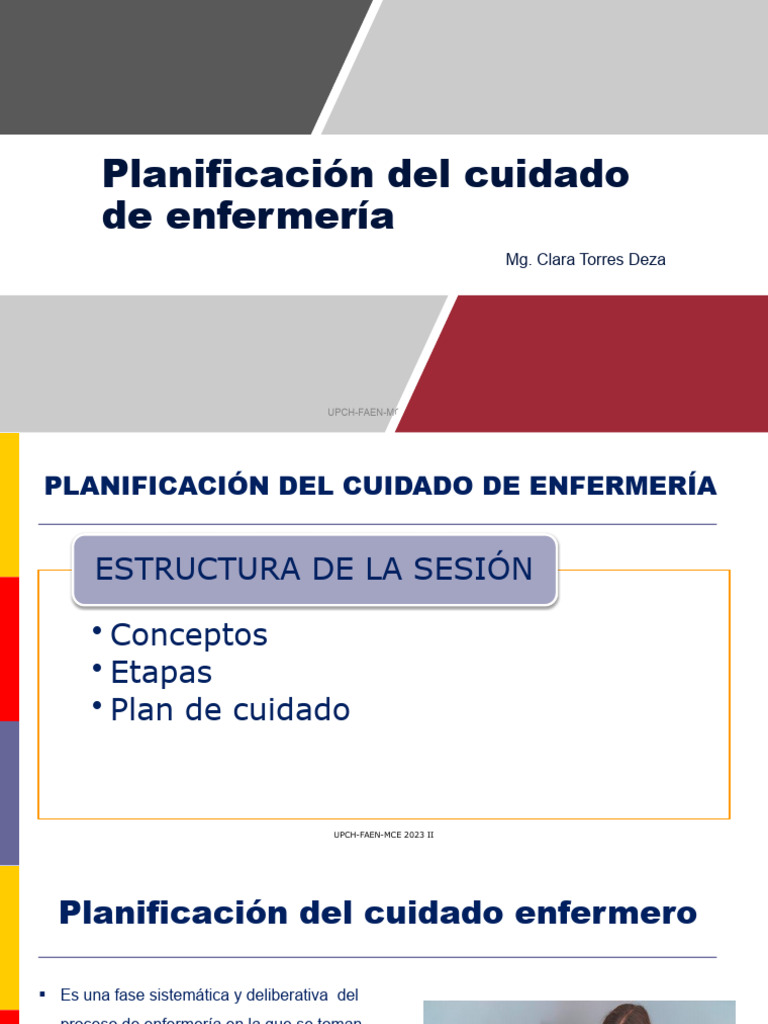 Plan de Cuidado de Enfermería 2023 | PDF | Enfermería | Dormir