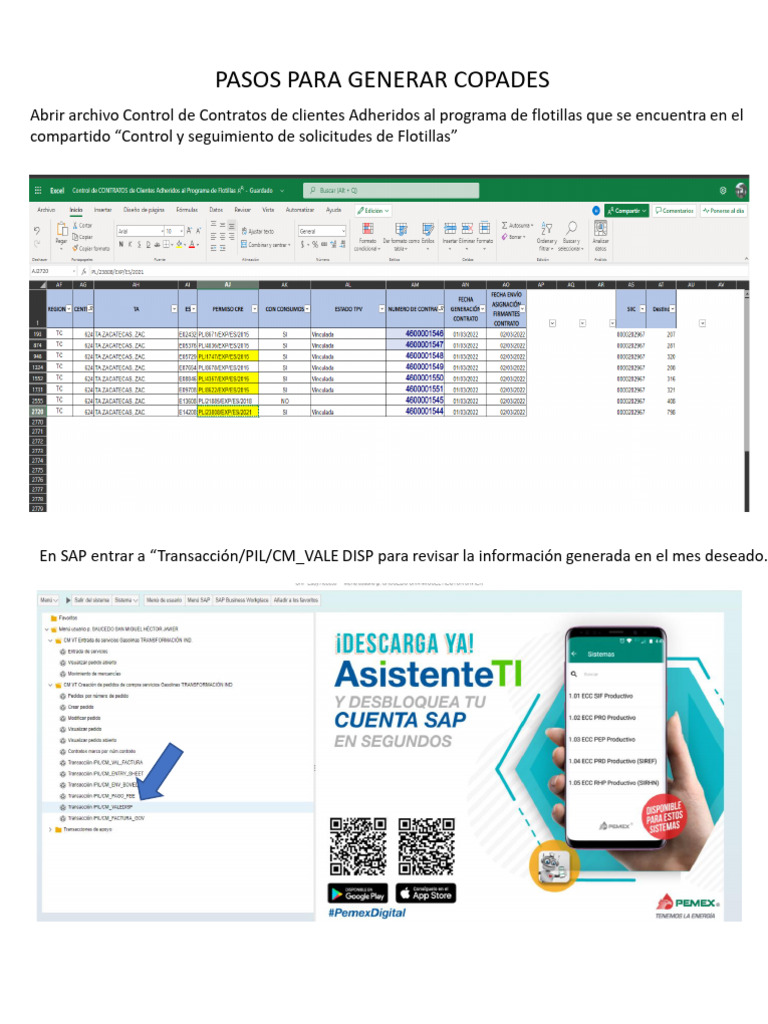 Generación de COPADES en SAP | PDF