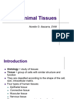 Animal Tissues Medical