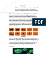 Bioseguridad Resumen y Conclusion Infografia y Video