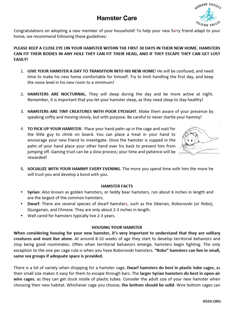 Hamster Care Pdf