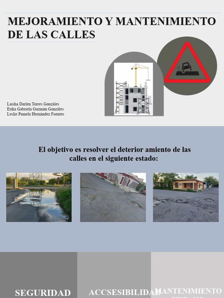 Calle Pdf Peatonal Economias