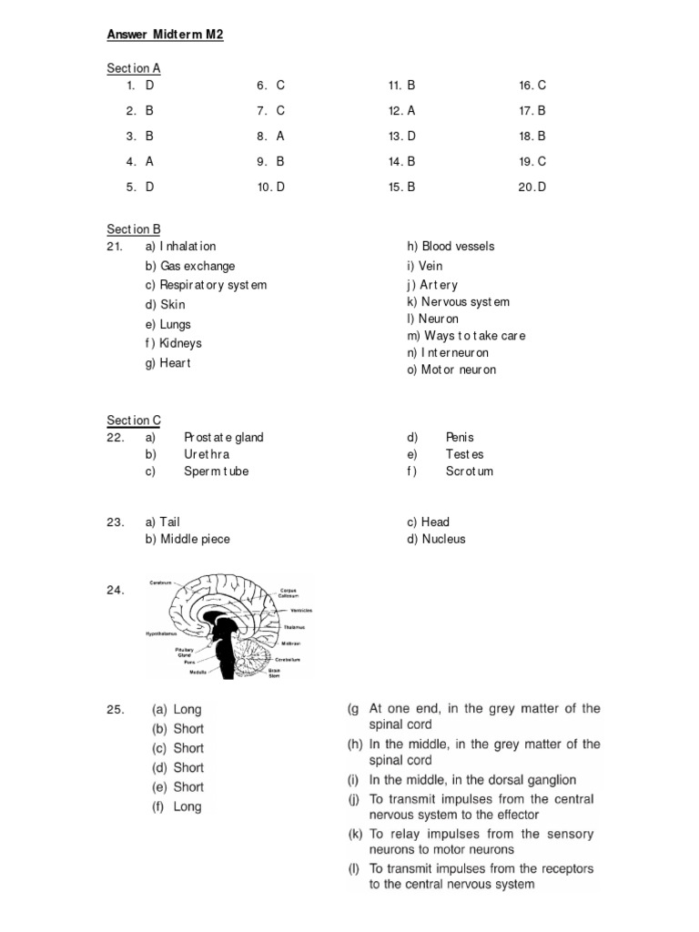 Midterm M2 Answer Key and Topics | PDF | Science & Mathematics