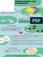 Metabolismo de Lípidos