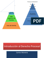 Teoria General Del Proceso - Cosa Juzgada