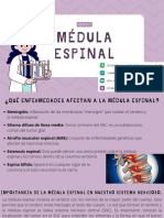 Médula Espinal