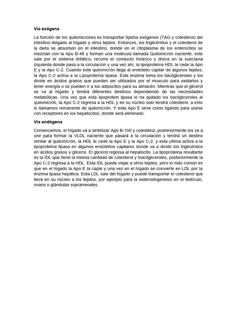 Vías Endógena y Exógena de Lípidos | PDF | Ciencia y matemáticas