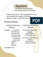 Central Nervous 1. System 2. Peripheral Nervous System