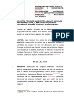 Sentencia Sobre Interés Legítimo de Las ONG en Materia Ambiental AR 839-2019