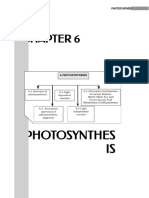 C6 (Photosynthesis)