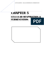 Bio - Active Learning - Cellular Respiration & Fermentation