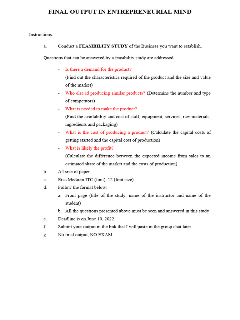 Final Output in Entrepreneurial Mind | PDF