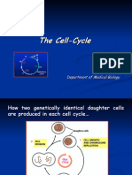 Cell Cycle 2019-20