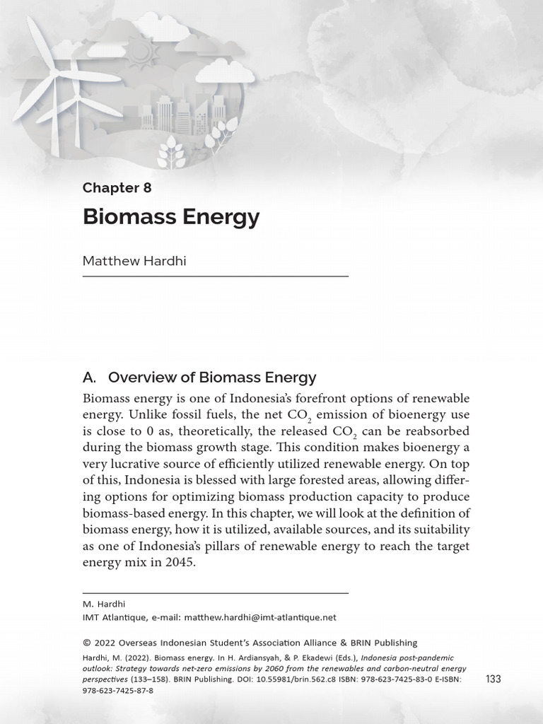 Biomass Energy in Indonesia: Overview & Benefits | PDF | Biofuel ...
