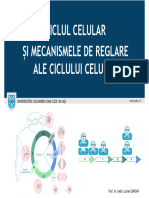 Ciclul Celular