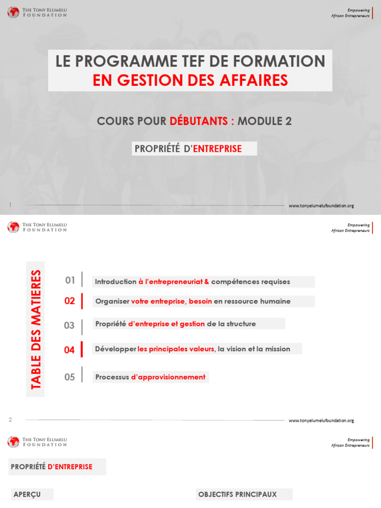 Module II PROPRIETE D'ENTREPRISE | PDF | Entrepreneuriat | Business