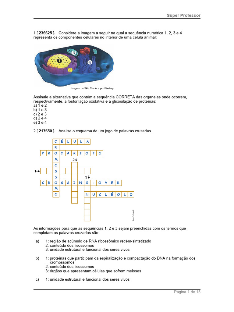 Questoes | PDF | Mitose | Meiose