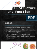 The Cell Structure and Function