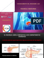 Páncreas Endócrino Dellagnola 2020