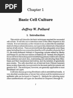 Animal Cell Culture