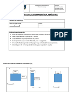 Prueba - Perimetro 3º