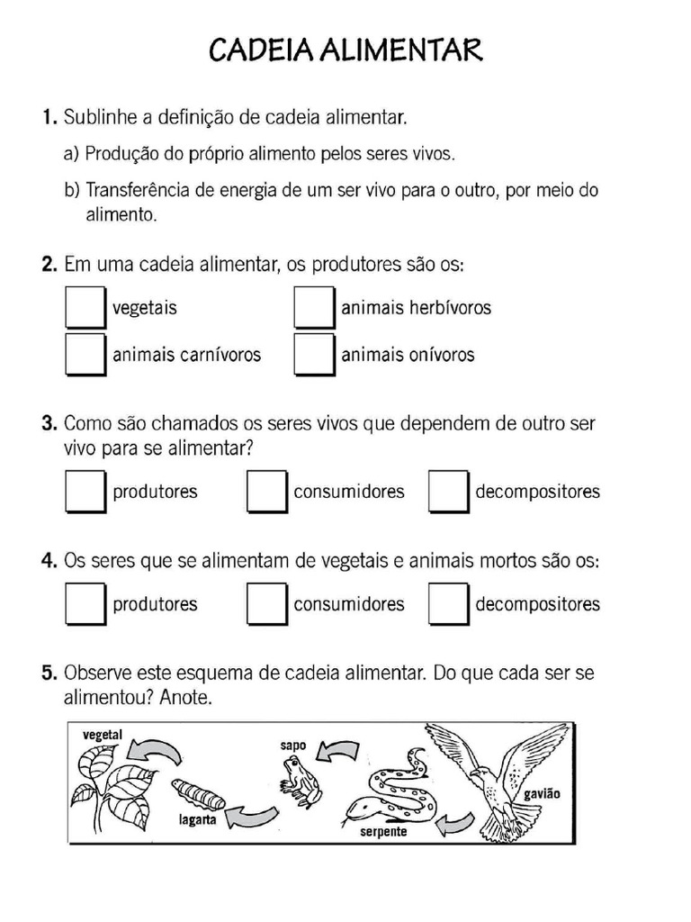 Atividade Cadeia Alimentar | PDF