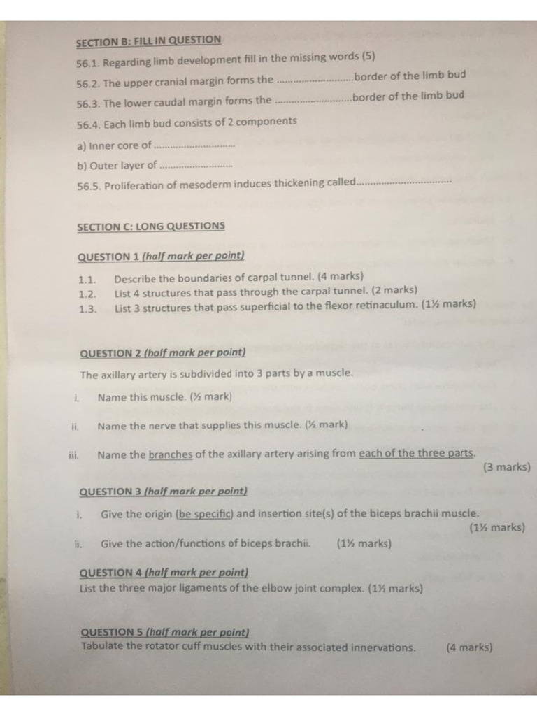 Anatomy Questions PDF