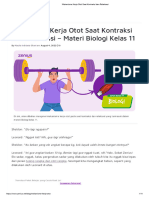 Mekanisme Kerja Otot Saat Kontraksi Dan Relaksasi