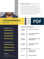 Professional CV Ayoub Bennaga