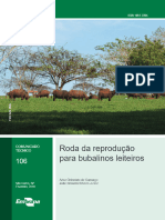 Roda da reprodução para bubalinos leiteiros COMUNICADO TÉCNICO. Artur Chinelato de Camargo João Rosseto Ribeiro Junior ISSN X - PDF Download grátis