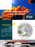 Ciclos Biogeoquímicos y Flujo de Materia