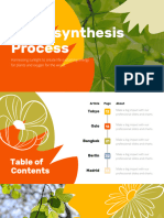 Photosynthesis Process Floral and Nature Presentation Yellow Variant