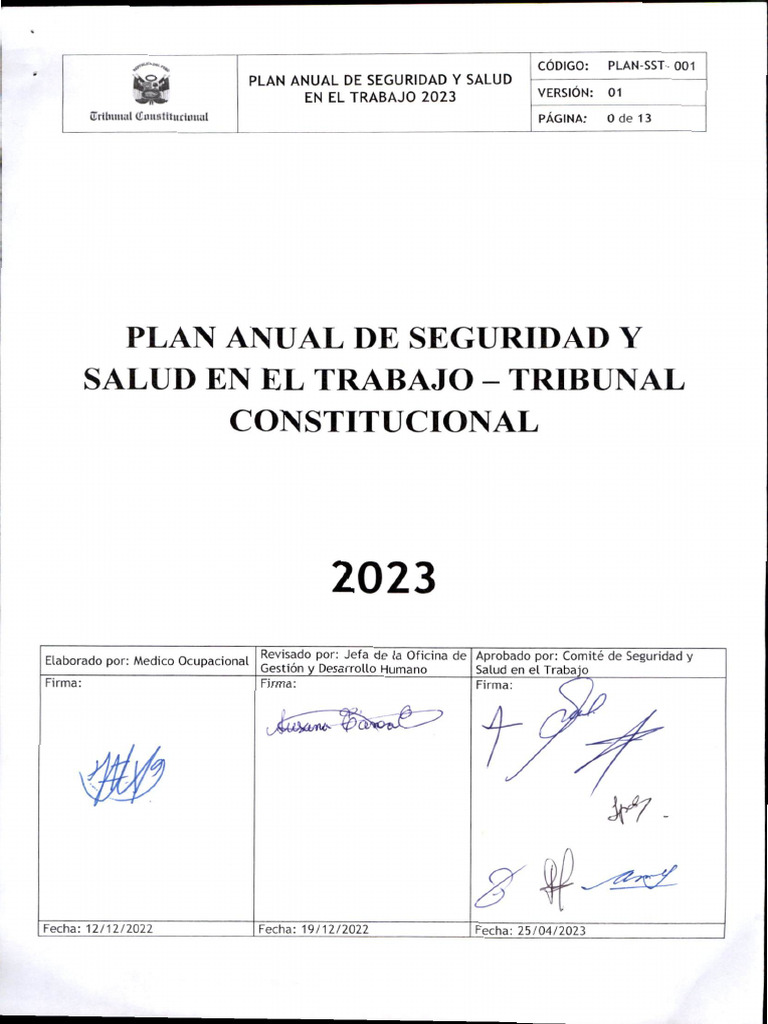 Plan Anual de Salud y Seguridad en El Trabajo 2023 | PDF