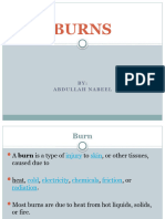 Lecture 8 Burns