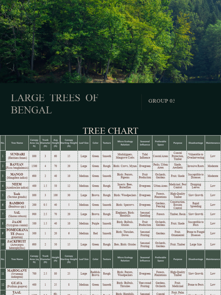 Catalogue 1 | PDF | Trees | Bangladesh