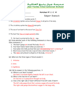 Science Revision Worksheets Solution Term 1grade 6