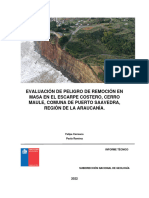 INF-LOS RÍOS-07.2022 Puerto Saavedra