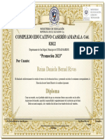 Diploma San Luis 9 Grado