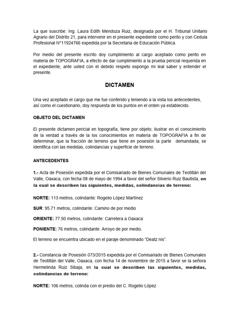 dictamen-pericial-27-10-pdf-topograf-a-geodesia