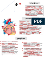 Anatomia Serca