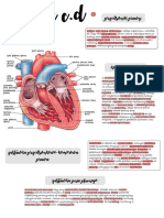 Anatomia Serca