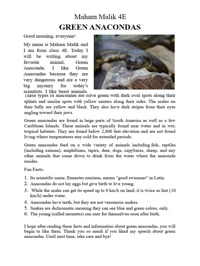 Green Anacondas | PDF | Home & Garden