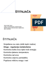 Štitnjača Studenti2023