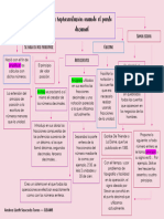 Mapa Conceptual Punto Decimal