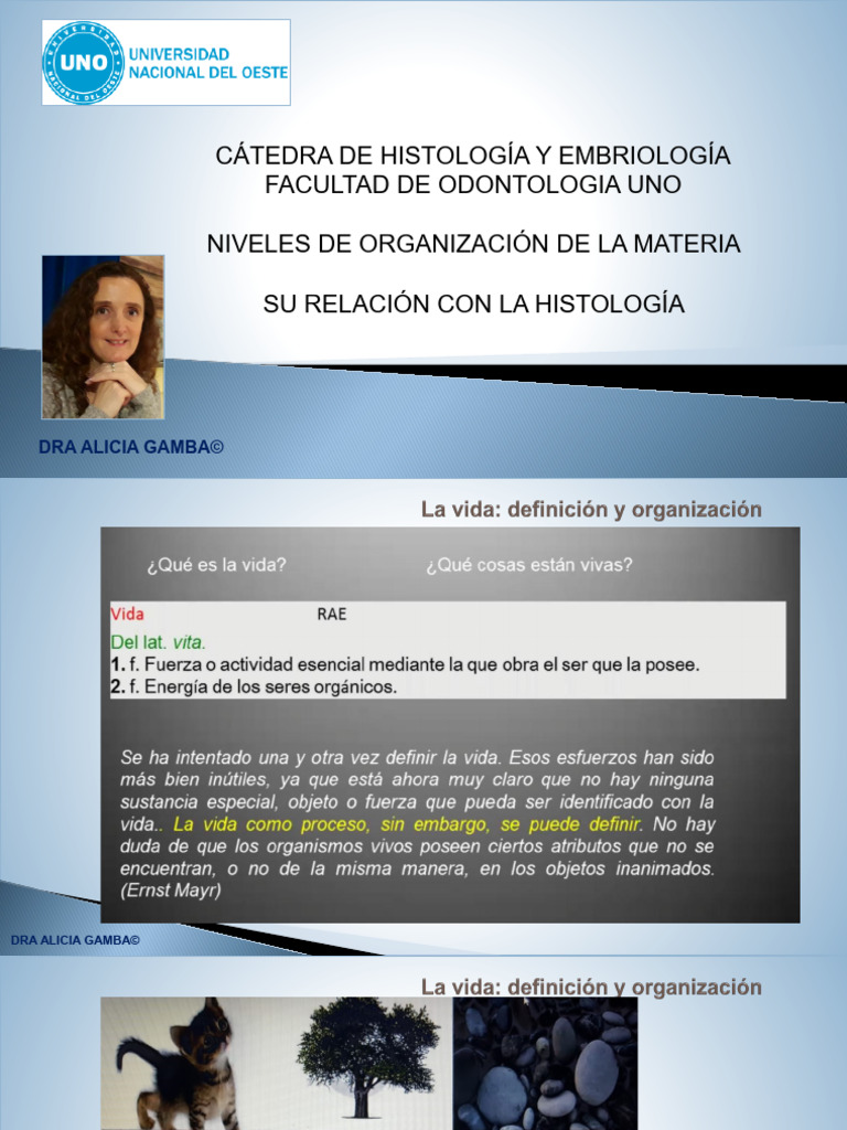 AVU 2023 - Niveles de Organización - La Célula - Dra Gamba | PDF ...